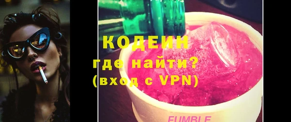 прущие грибы Ельня