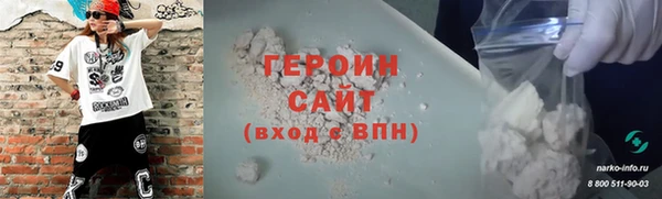 прущие грибы Ельня