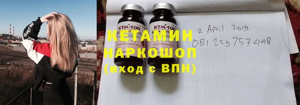 прущие грибы Ельня