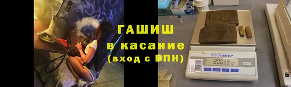 прущие грибы Ельня
