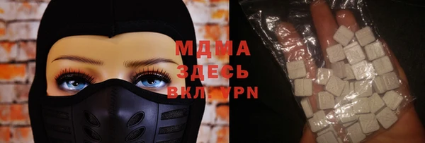 прущие грибы Ельня