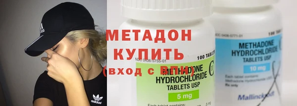 прущие грибы Ельня