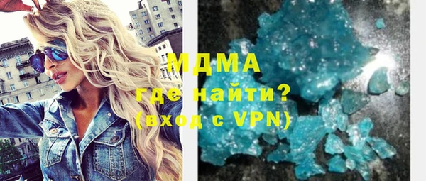 прущие грибы Ельня