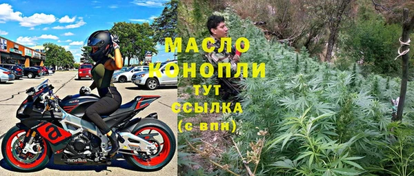 прущие грибы Ельня