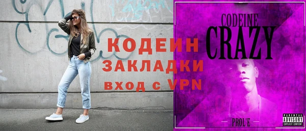 прущие грибы Ельня