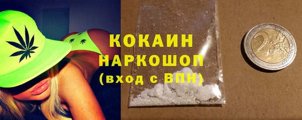 прущие грибы Ельня
