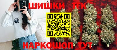 спайс Гагарин