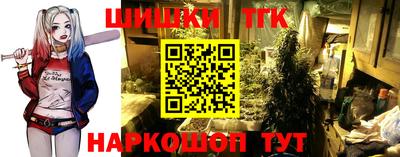 спайс Гагарин