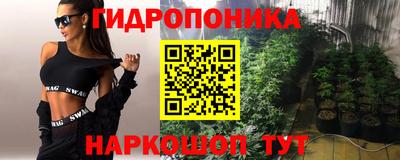 спайс Гагарин