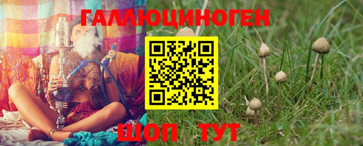 Псилоцибиновые грибы Psilocybine cubensis  Вход с VPN  наркотики  Изобильный 